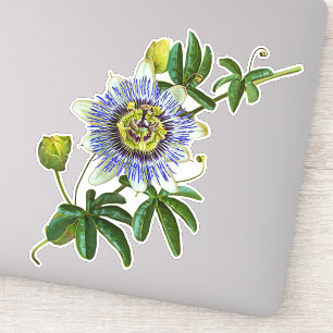 Adesivo Herb Passionflower   vinil Sticker