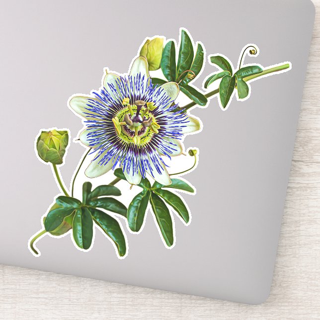 Adesivo Herb Passionflower | vinil Sticker (Detalhe)