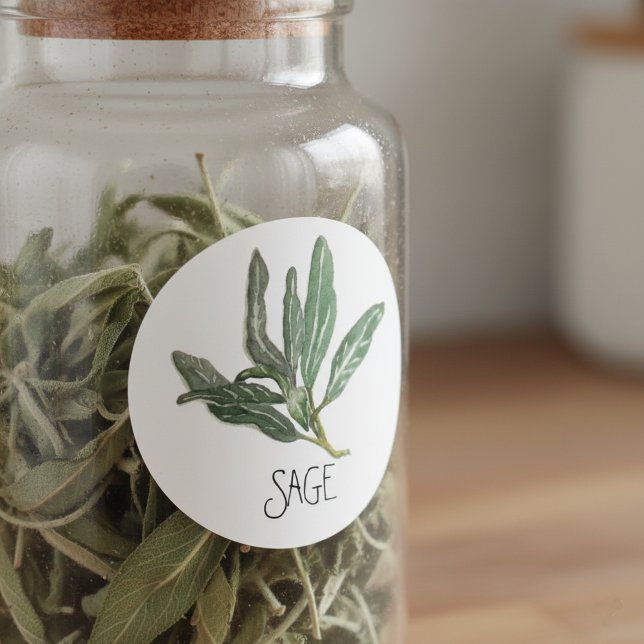 Adesivo Herb Sage de Aquarela (Criador carregado)