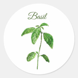 Adesivo Herbos Basil Aquarela Cozinha Verde Russo