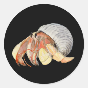 Adesivo Hermit Crab