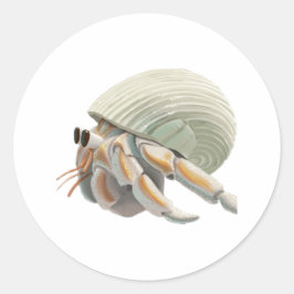 Adesivo Hermit Crab Sticker