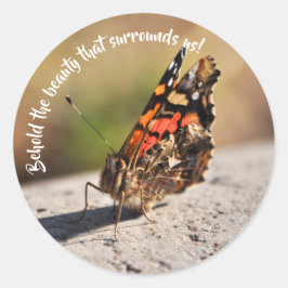 Adesivo Hermosa Mariposa