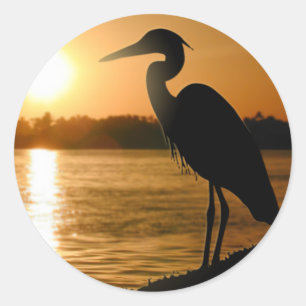 Adesivo Heron