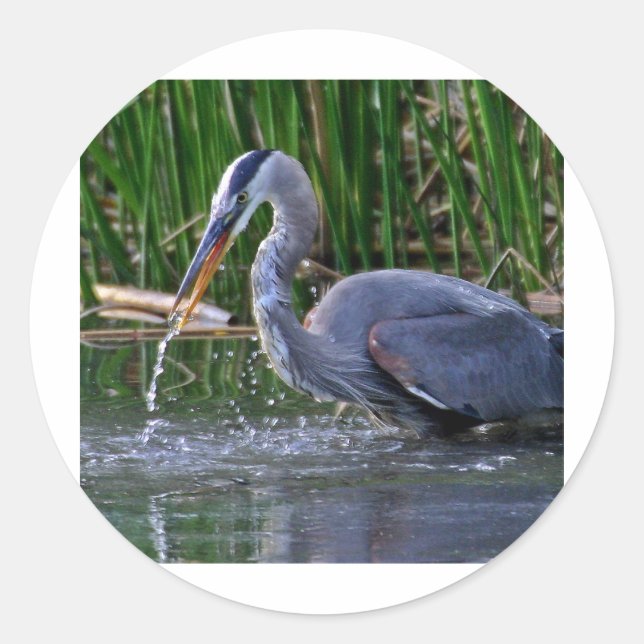 Adesivo Heron Splash (Frente)