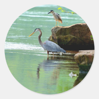 Adesivo Herons