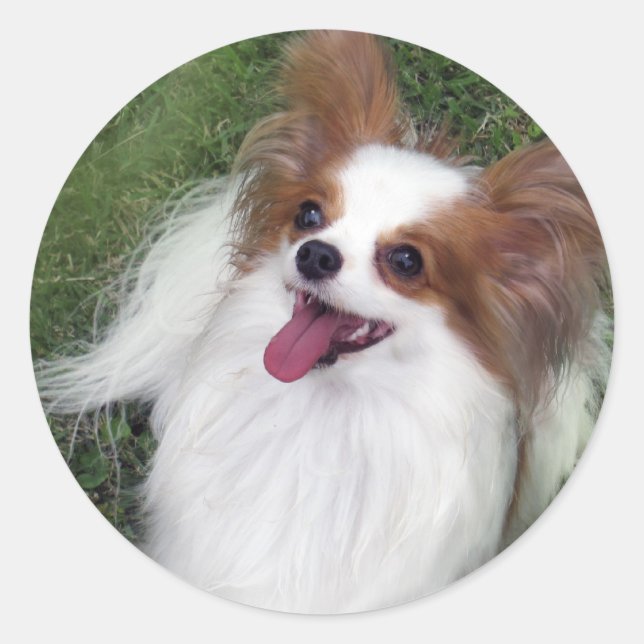 Adesivo Hershey Kiss Hero Madi Merchandise (Frente)