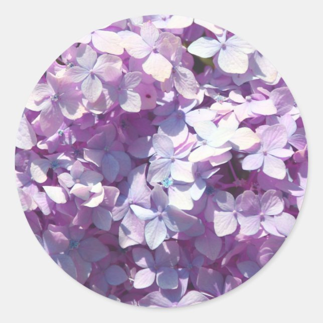 Adesivo Hidrangea (Frente)