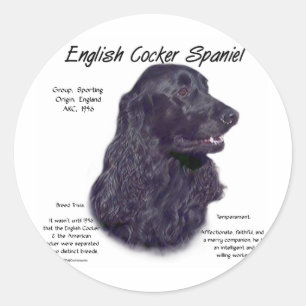 Adesivo História de Espanhol de Cocker em Inglês Negro
