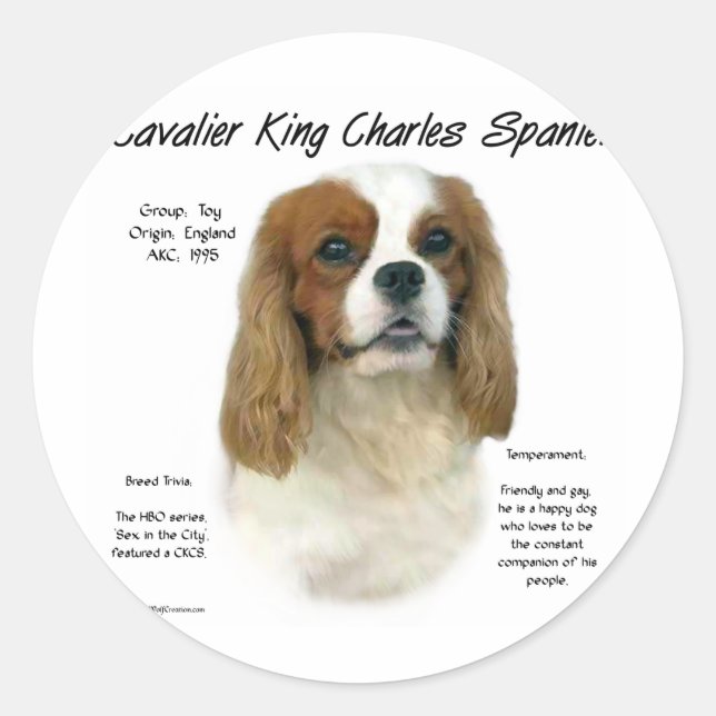 Adesivo História do Cavalier King Charles Spaniel (Blenhei (Frente)