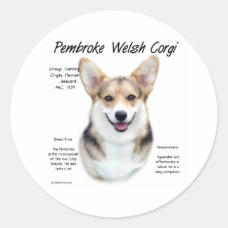Adesivo História do Pembroke Welsh Corgi Design