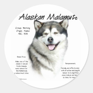 Adesivo História Malamute do Alaska, tudo sobre Malamutes