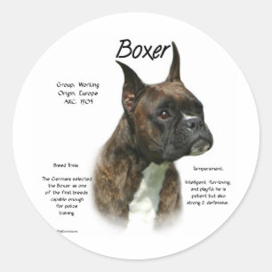 Adesivo Histórico de Boxer do Brindle