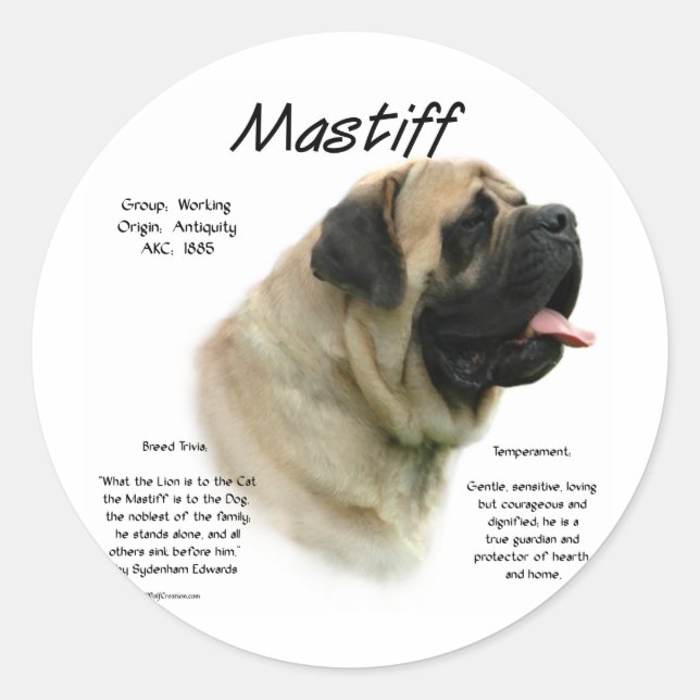 Adesivo Histórico de Mastiff de Fawn (Frente)