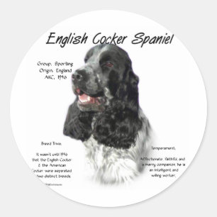 Adesivo Histórico de Spaniel de Cocker em Partiinglês