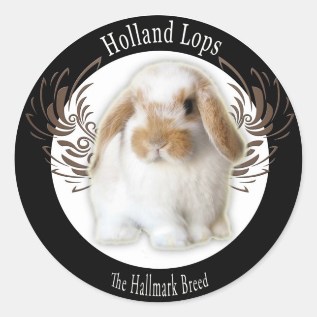 Adesivo Holland Lop Stickers (Frente)