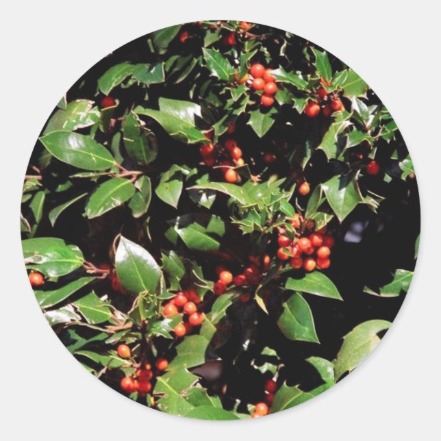 Adesivo Holly e Berries Stickers (Frente)