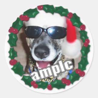 Adesivo Holly Frame para sua foto de Natal!