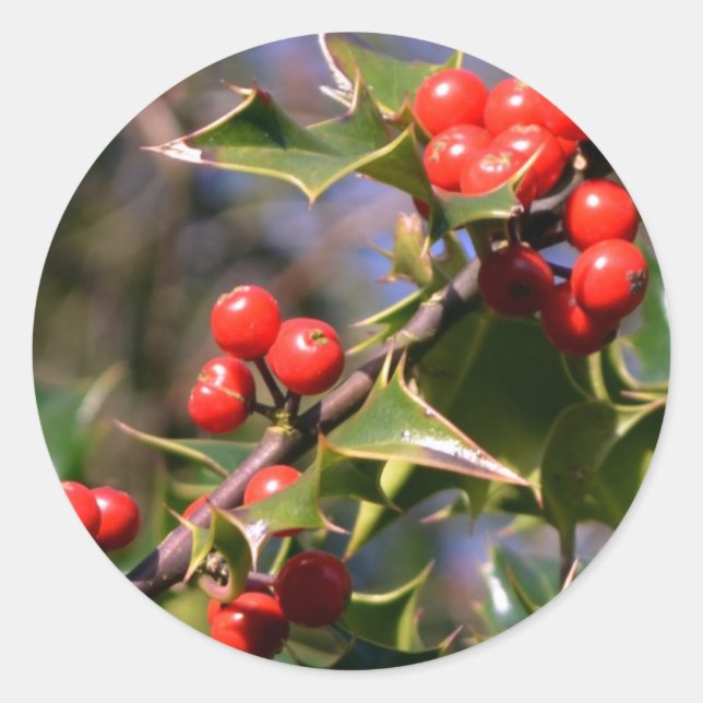 Adesivo Holly Stickers (Frente)