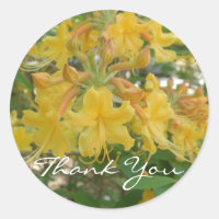 Honeysuckle Obrigado Stickers