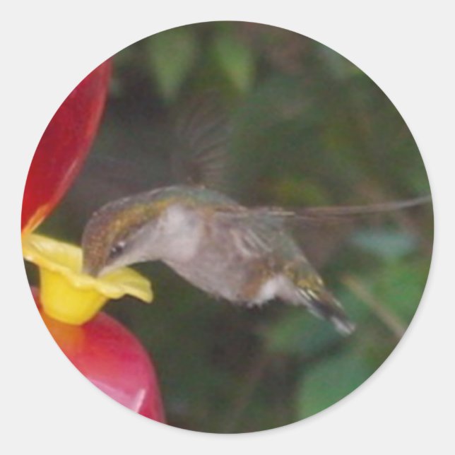 Adesivo Hora de Comer (Frente)