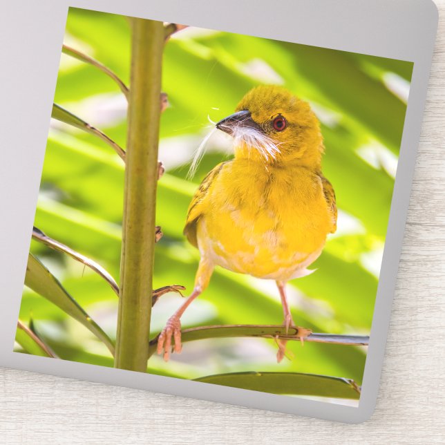 Adesivo Hora de construir o ninho (Detalhe)