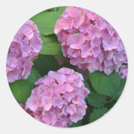 Adesivo Hortensia hydrangea bush rosa