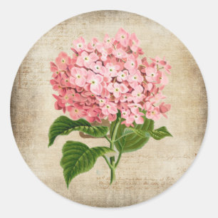 Adesivo Hortênsia Rosa