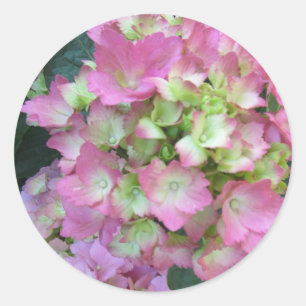 Adesivo Hortênsias Rosa