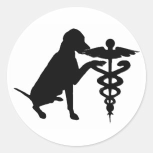 ADESIVO HOSPITAL DA TERAPIA DO CÃO