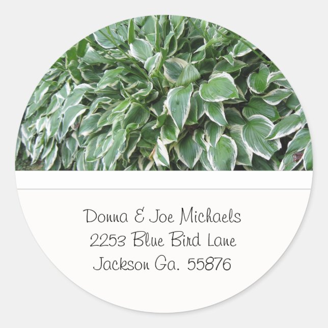 Adesivo Hosta Address Stickers (Frente)