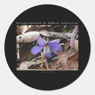 Adesivo Hot Springs National Park, AR Presentes Violetas S