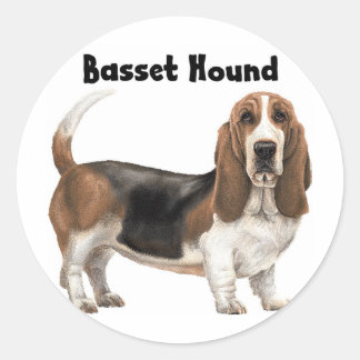 Adesivo Hound Basset