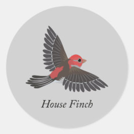 Adesivo House Finch