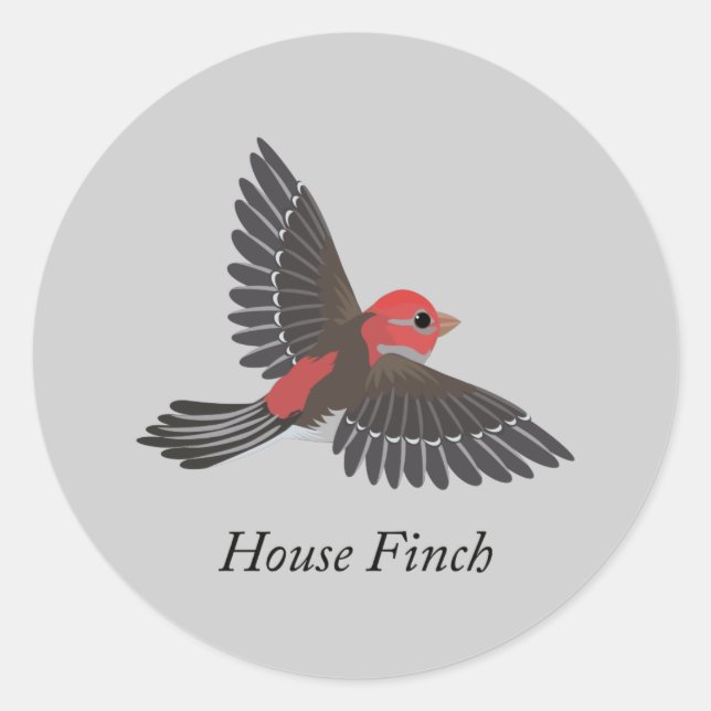Adesivo House Finch (Frente)