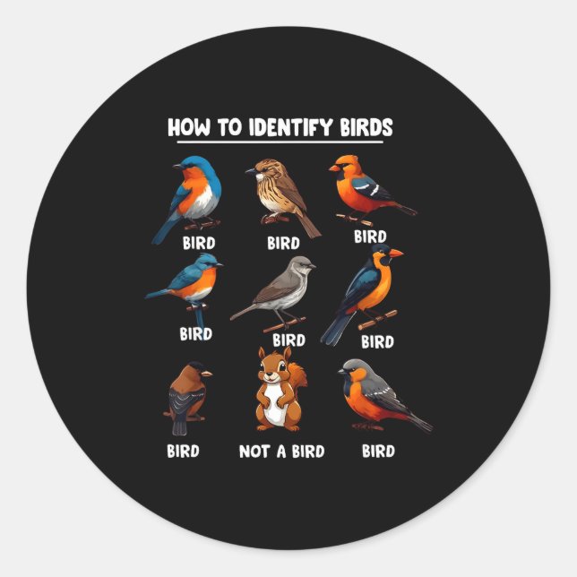 Adesivo How To Identify Birds Funny Birds Identification B (Frente)