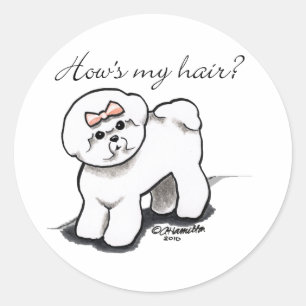 Adesivo Hows de Bichon Frise meu cabelo
