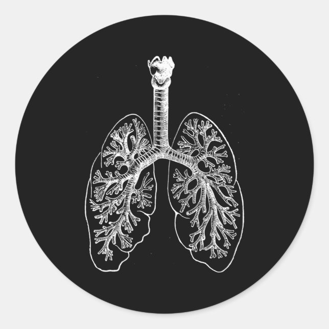 Adesivo Hu Pulmões Anatomia Pulmonólogo Pulmonólogo Pulmõe (Frente)