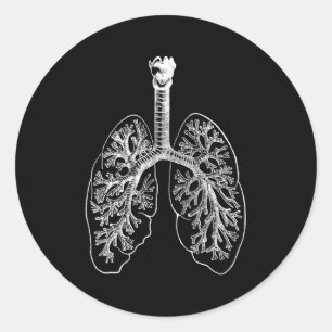 Adesivo Hu Pulmões Anatomia Pulmonólogo Pulmonólogo Pulmõe