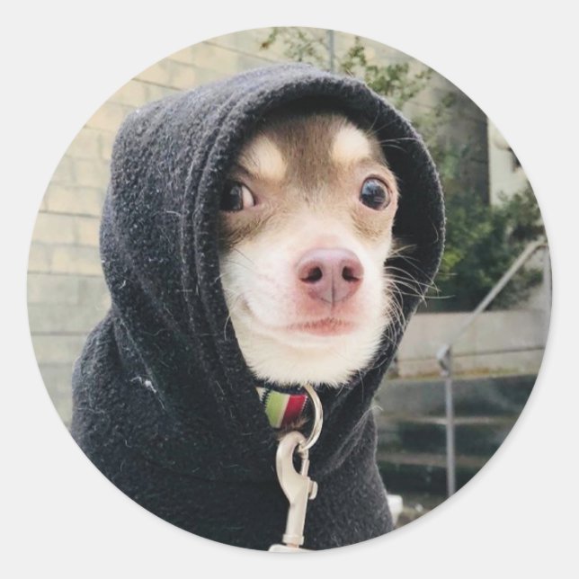 Adesivo Huey in Disguise Stickers! (Frente)