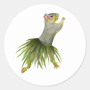 Adesivo Hula Squirrel Sticker