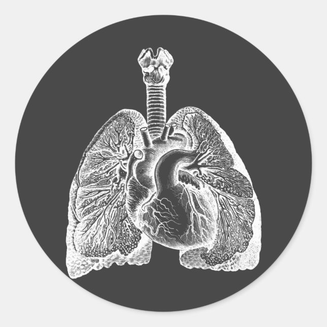 Adesivo Human Biology Anatomy Heart Lungs Science Art   (Frente)