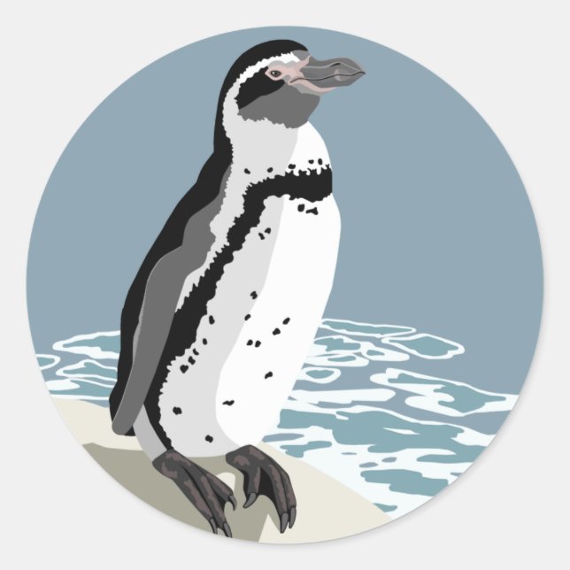 Adesivo Humboldt Penguin Stickers (Frente)