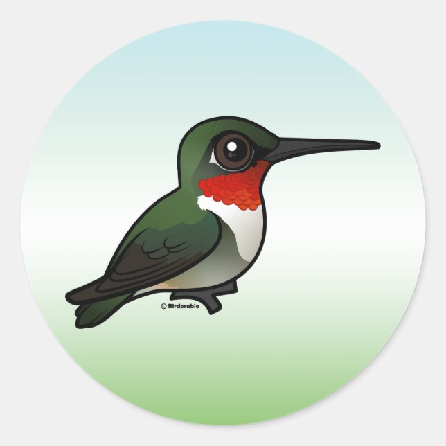 Adesivo Hummingbird com garganta (Frente)