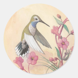 Adesivo Hummingbird com Throated Azul