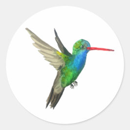 Adesivo Hummingbird de bico largo