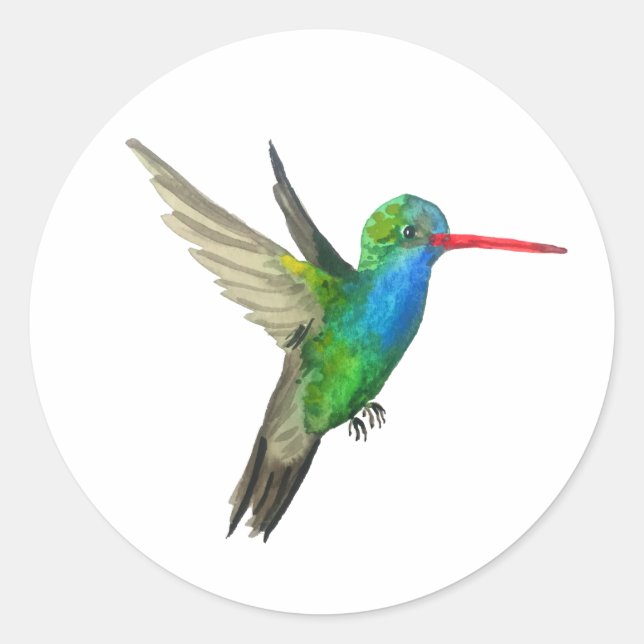 Adesivo Hummingbird de bico largo (Frente)