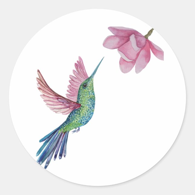 Adesivo Hummingbird Sticker (Frente)