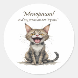Adesivo Humor da Menopausa Gato Estressado Irritado