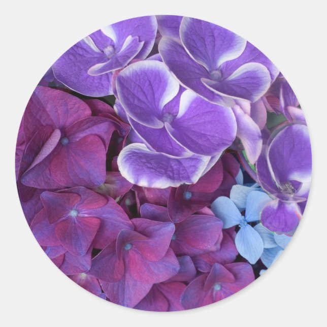Adesivo Hydrangea Blossomo (Frente)